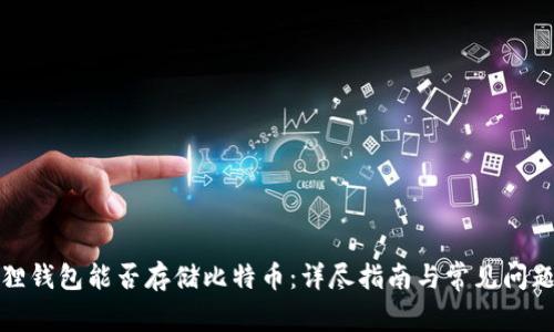 小狐狸钱包能否存储比特币：详尽指南与常见问题解答
